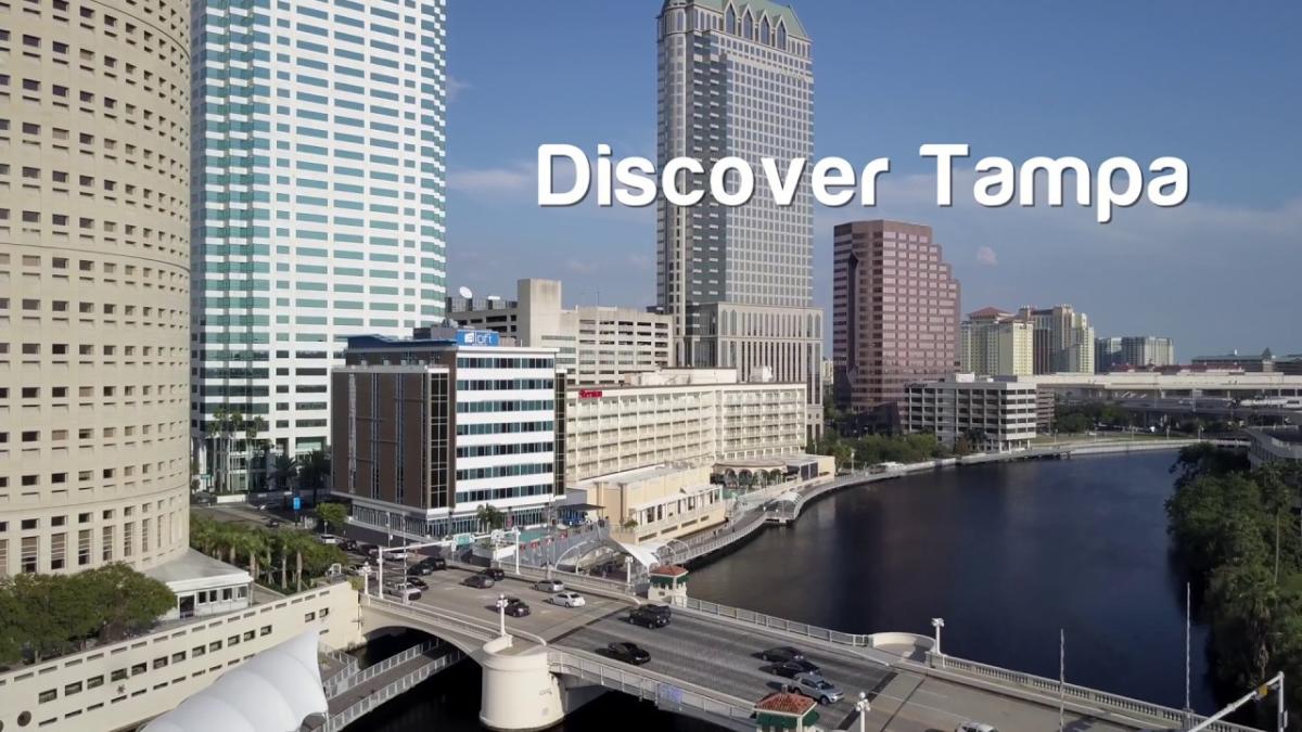 Adventurous Activities in Tampa Bay, Fla. - Visit Florida