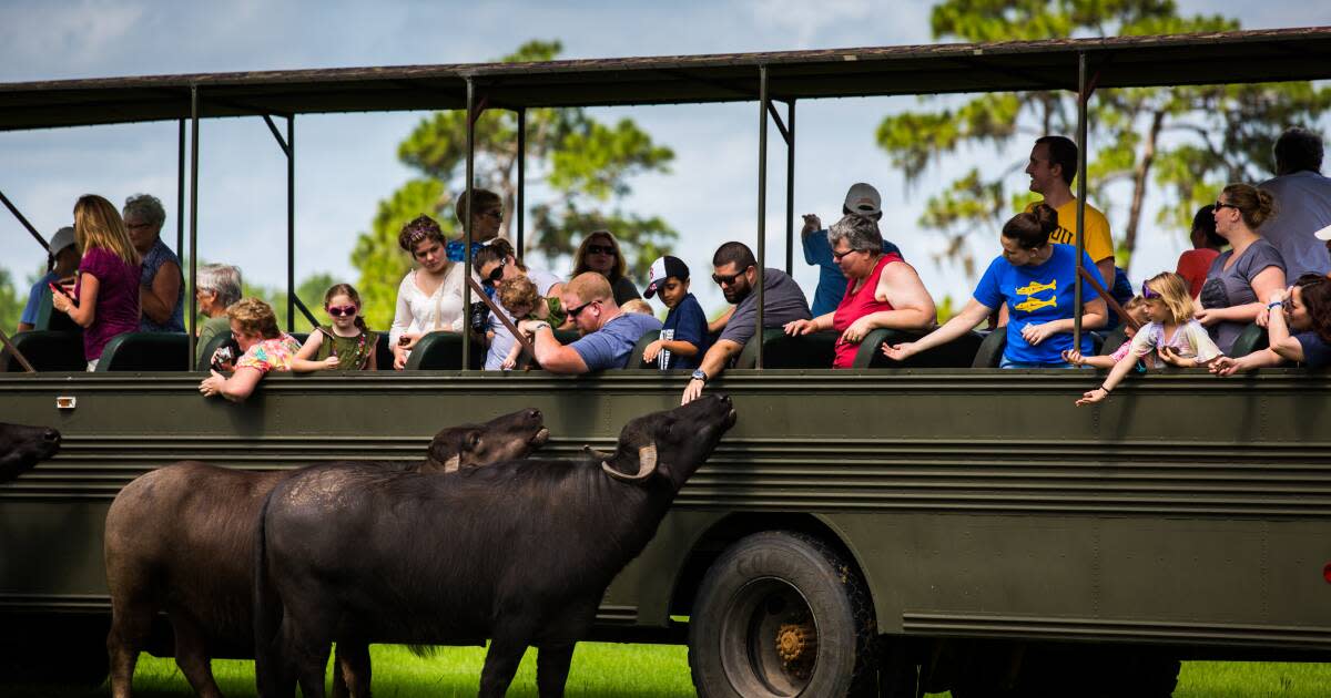 Top Safari Attraction in Florida - Lakeland, Florida - Visit