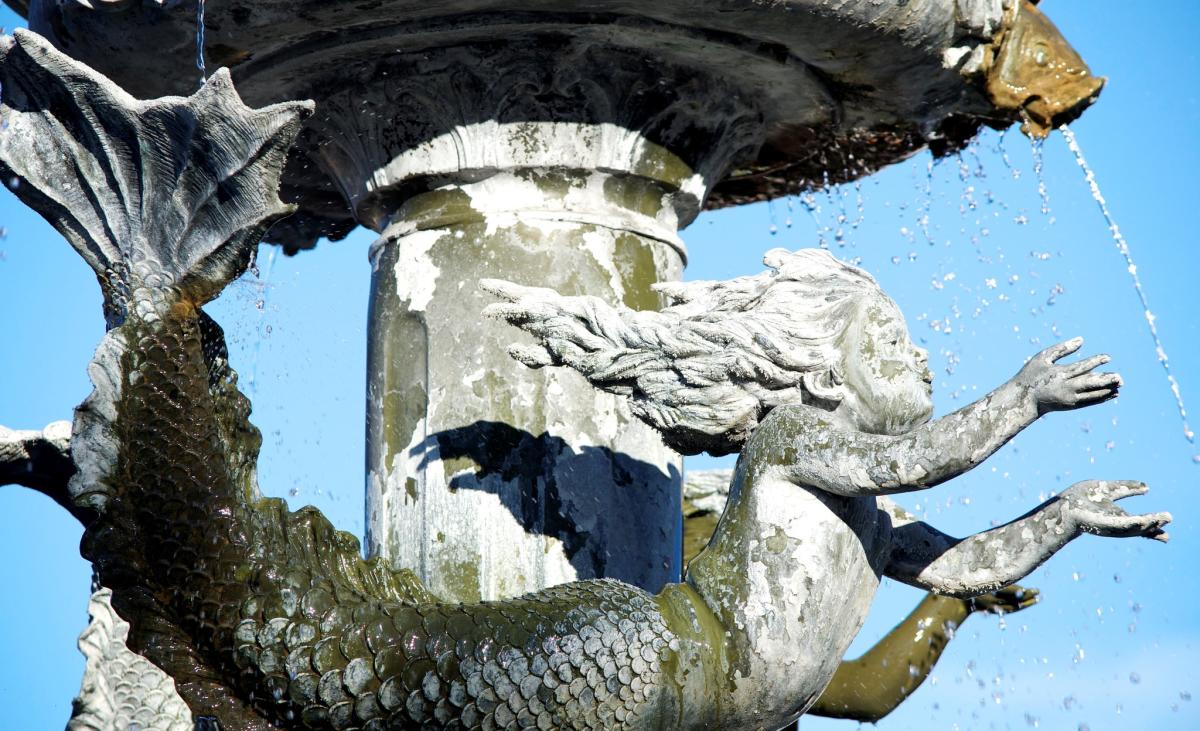 Safety Harbor Florida Things to Do & Attractions