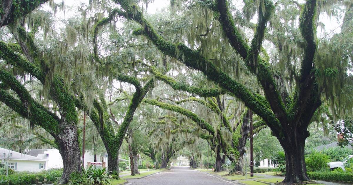 Exploring Downtown Brooksville's History & Architecture