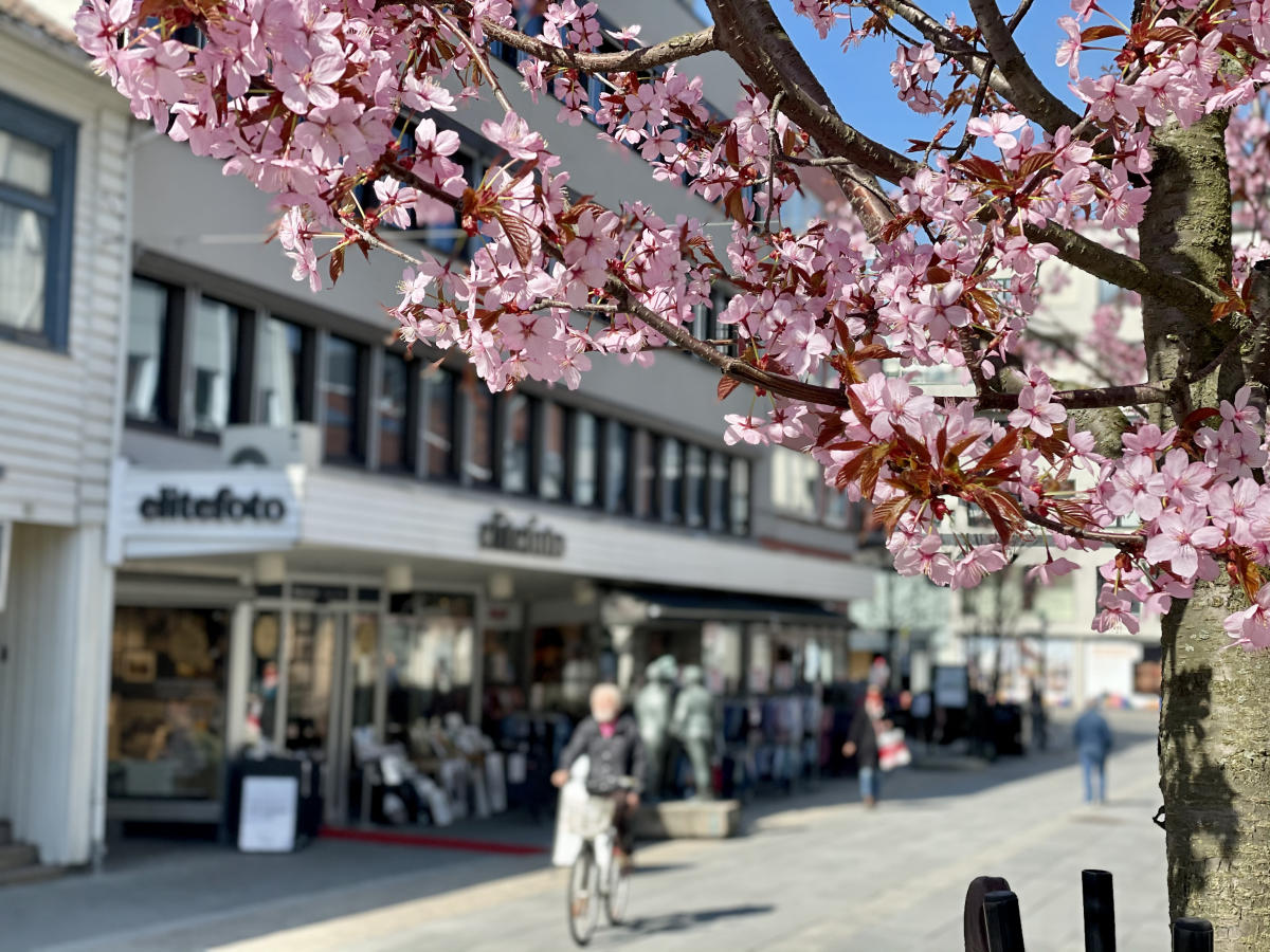 Spring New Rochelle Spring