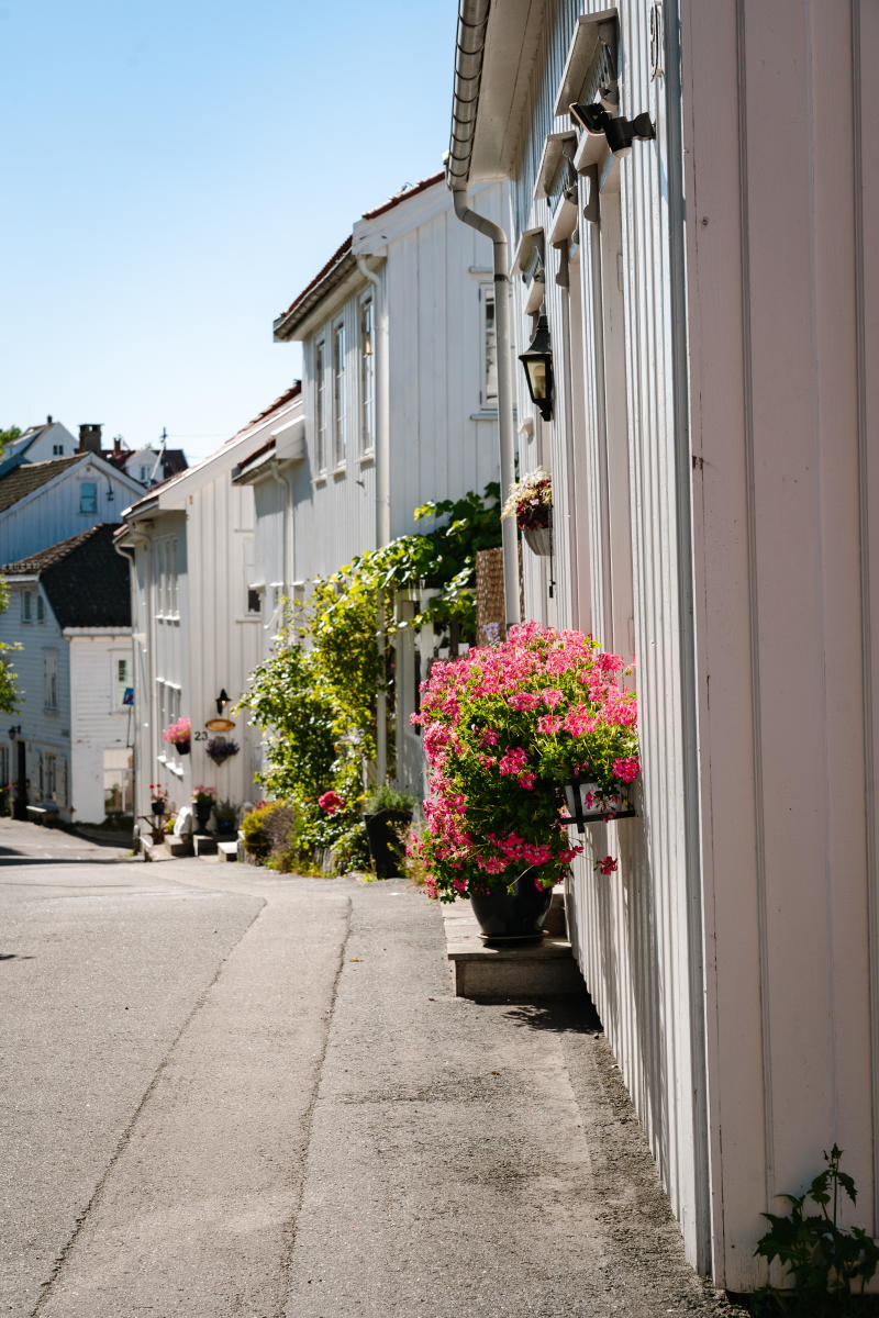 Experience the wooden town of Risør | Visit Southern Norway