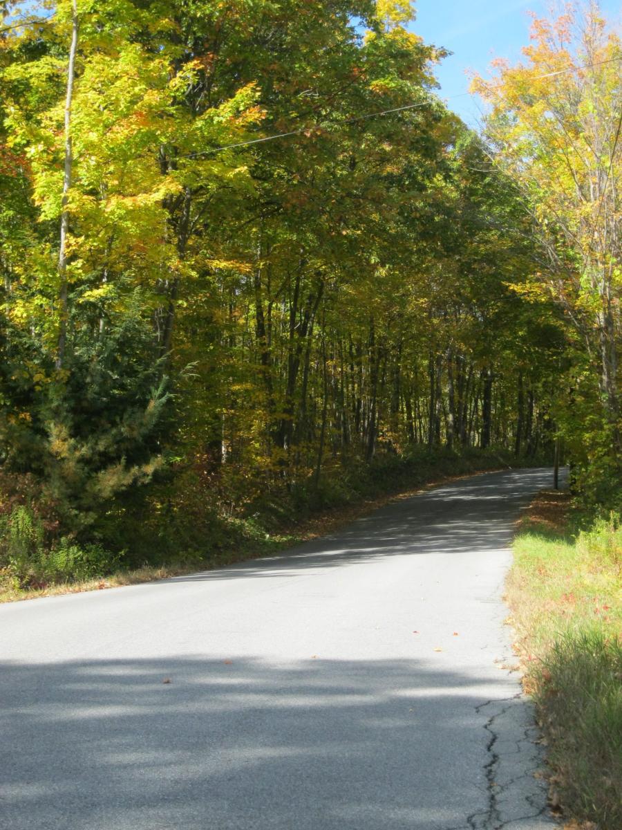 Discover Your Perfect Ride