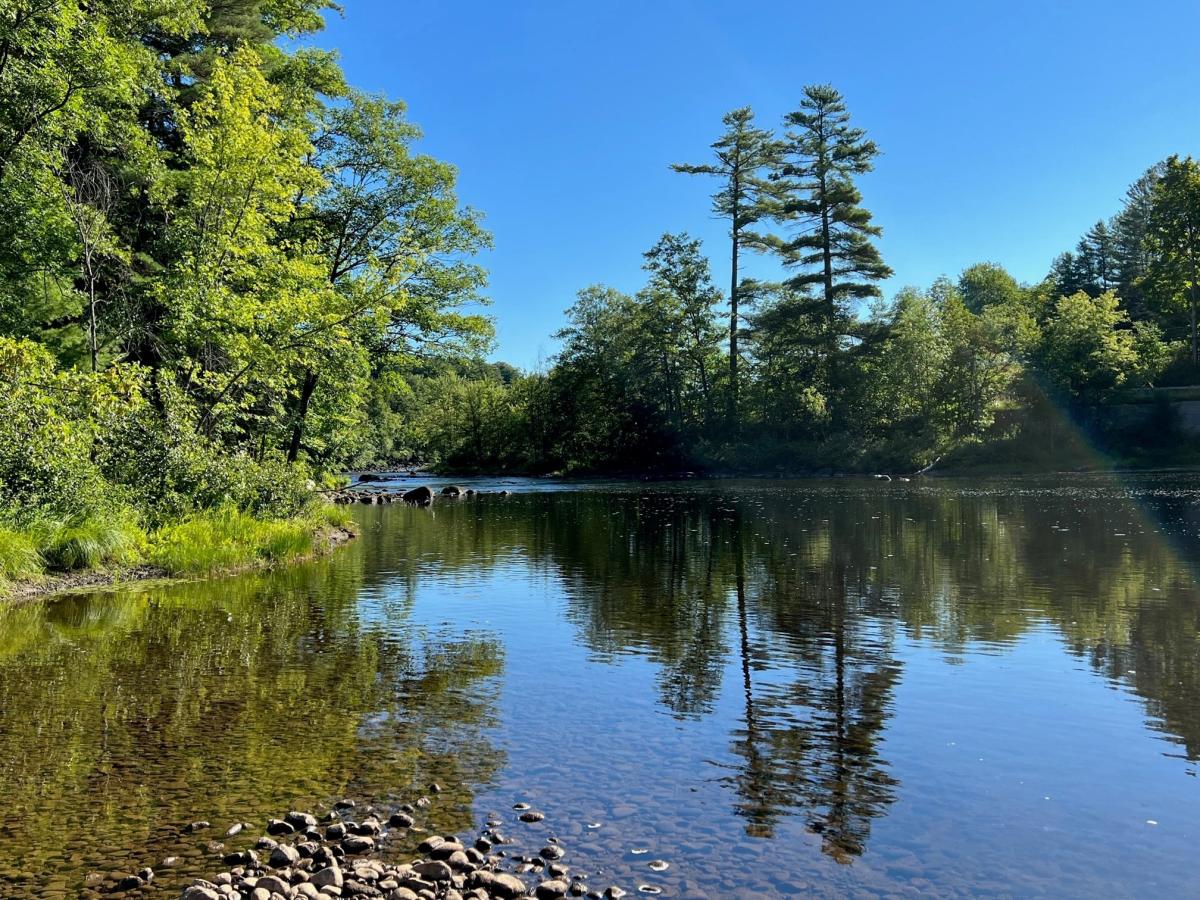 Fishing Focus Angling for Smallmouth Bass in Late Summer