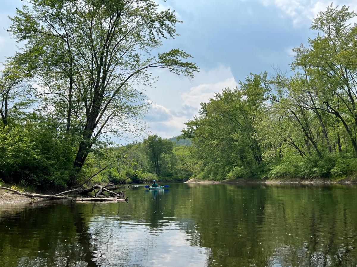 Fishing Focus Lake Area Waters Teeming With Bass