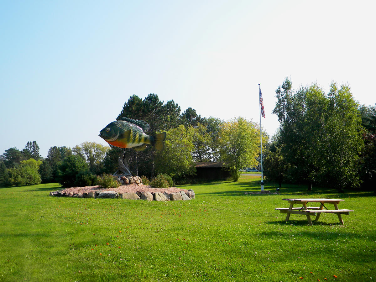 Birchwood the Bluegill Capital of Wisconsin