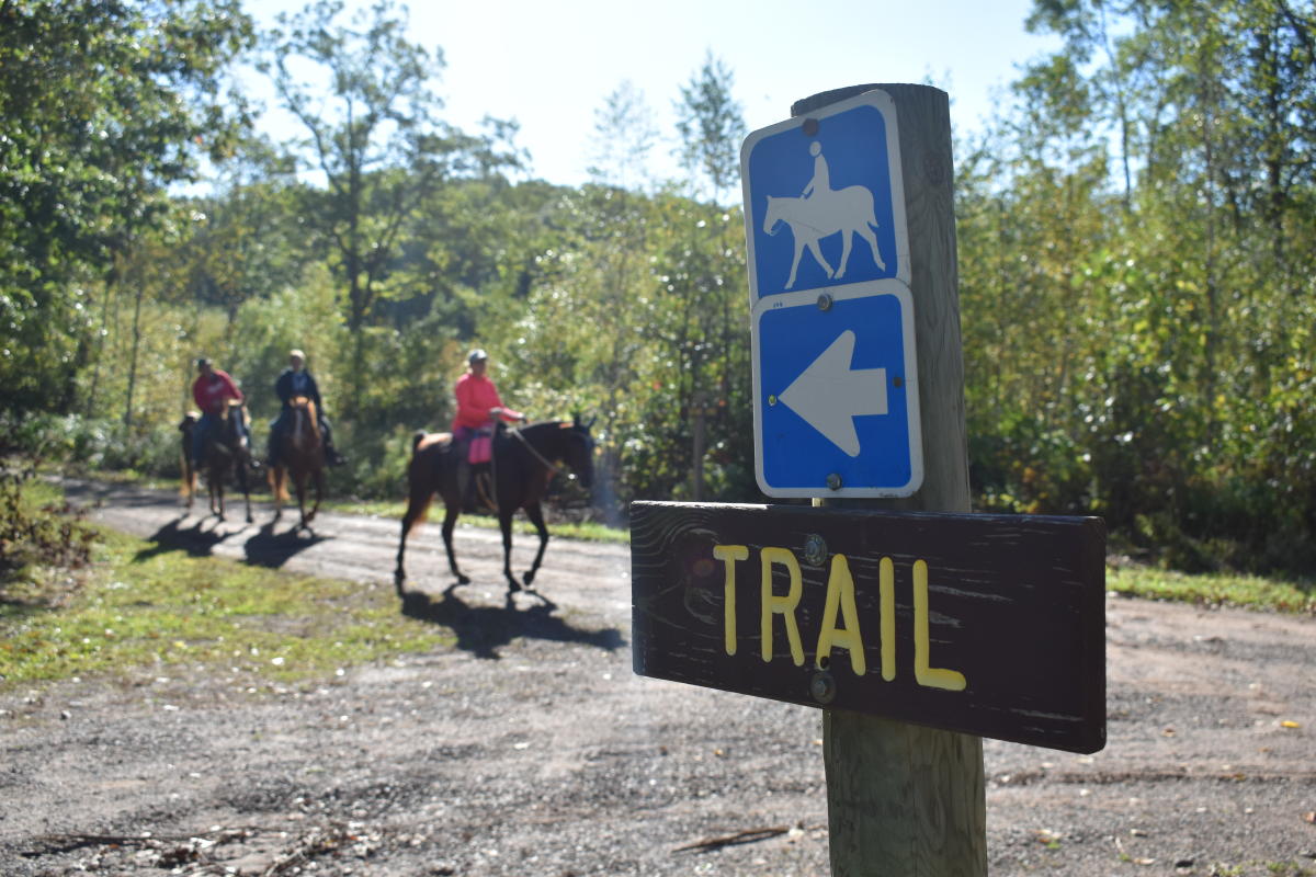 Horseback RidingOfficial Washburn County, WI Tourism site