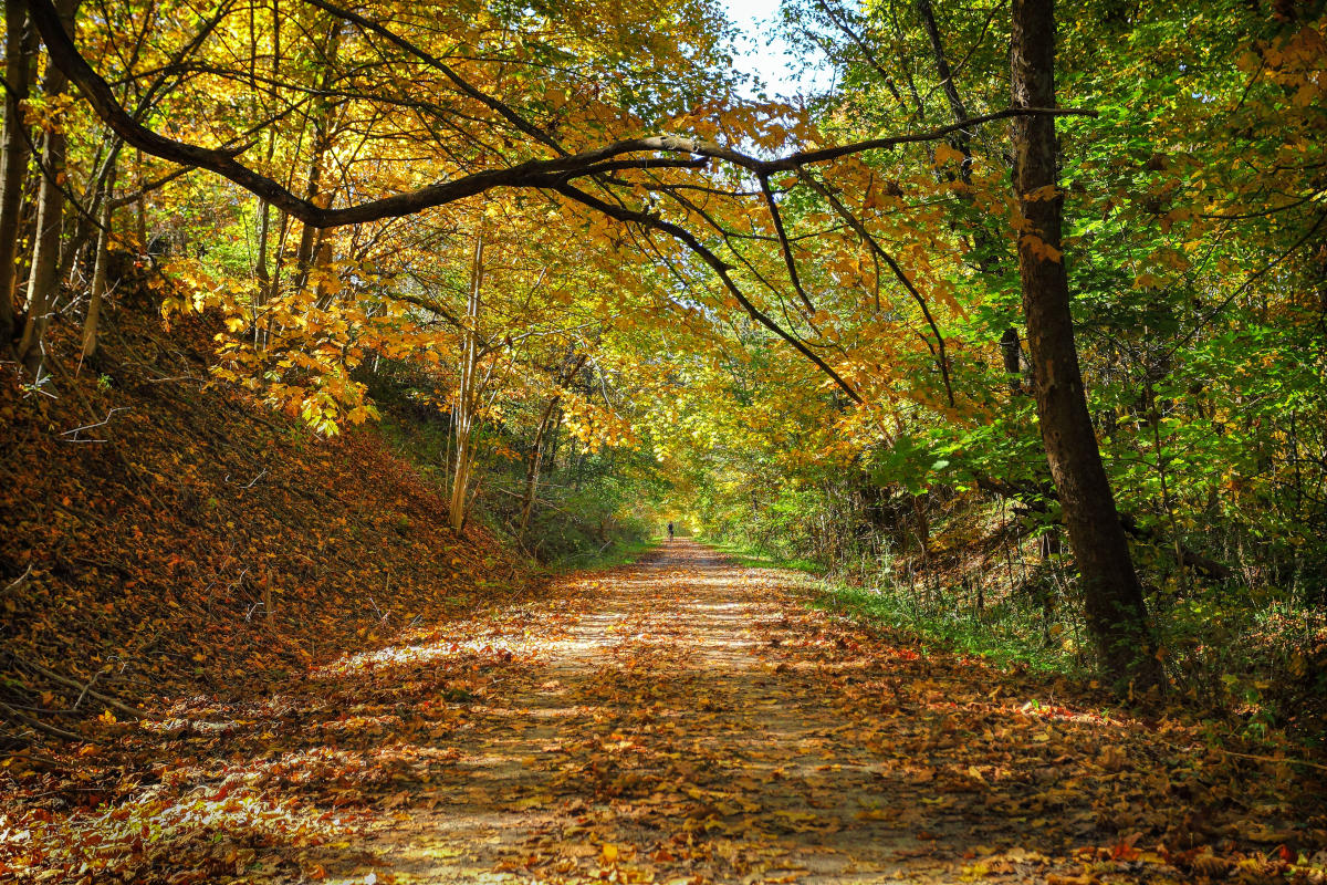 Trails