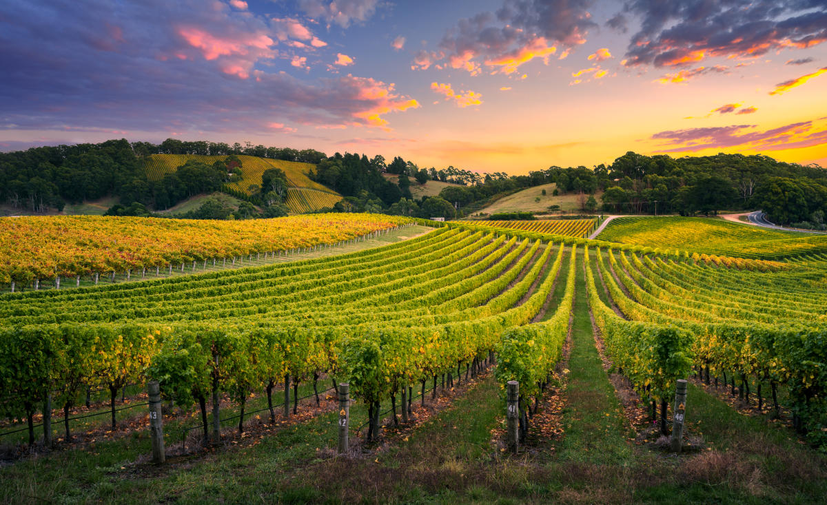 Escondido winery hotsell