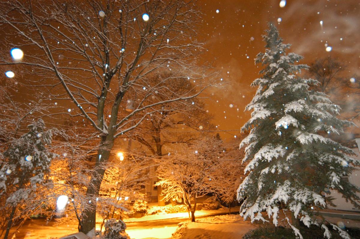 A WonderFilled Westchester Holiday