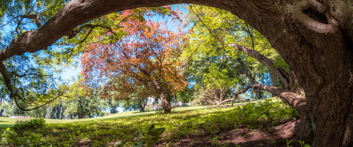 Spring Ridge Falol Farm Itineraries