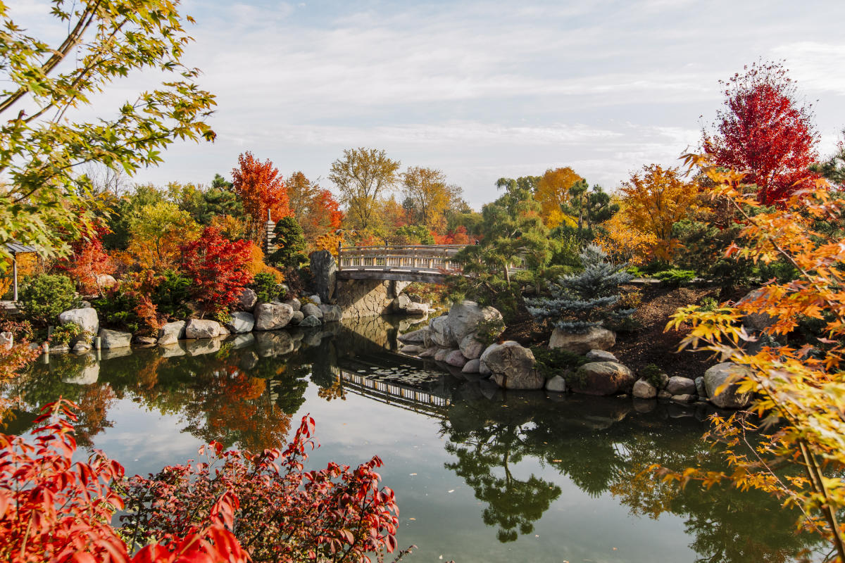 Autumn Abundance Returns: Experience The Vibrant Beauty Of Autumn
