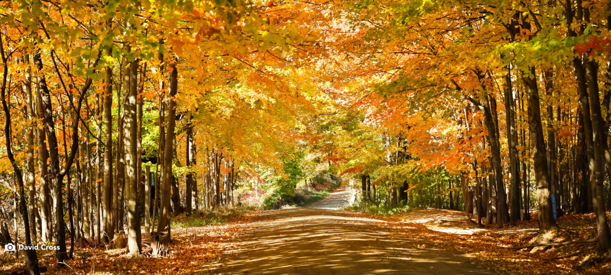 Welcoming Fall in West Michigan | Festivals, Color Tours & Seasonal Fun
