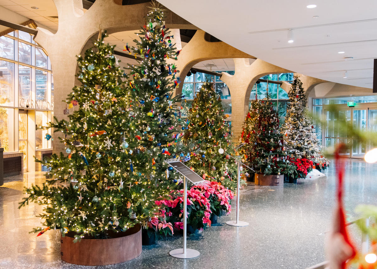 Meijer Gardens Lights Up the Holidays With Celebration of