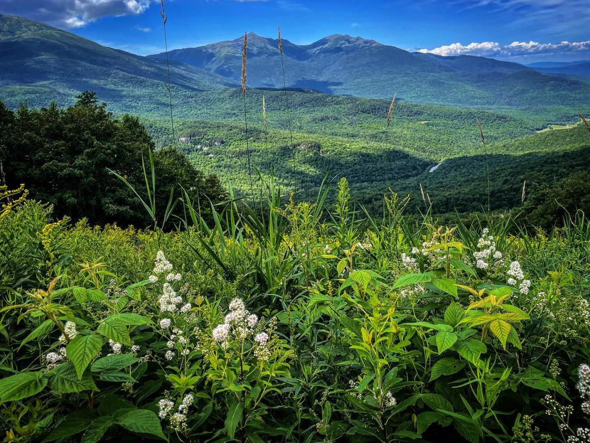 White Mountains Summer New Hampshire Tips & Ideas