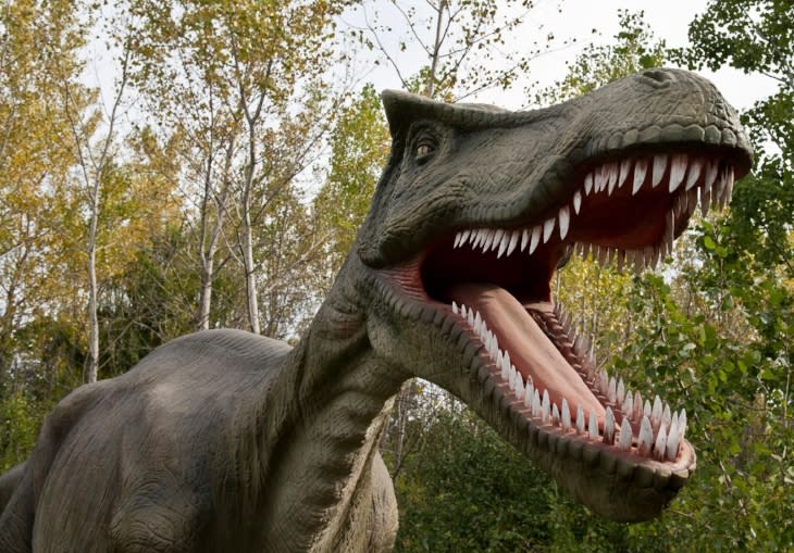 Largest Dinosaur Theme Park Opens In Wichita Attractions