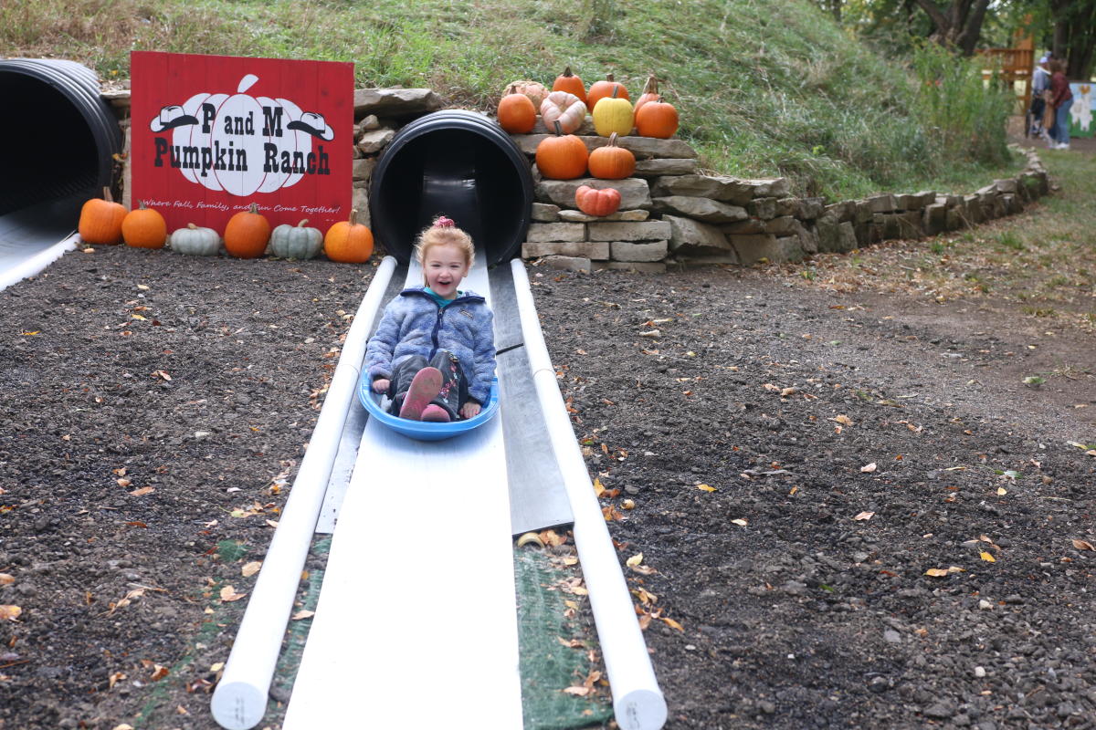 Pumpkin Patches, Corn Mazes, & Family Halloween Events in Wichita 2024