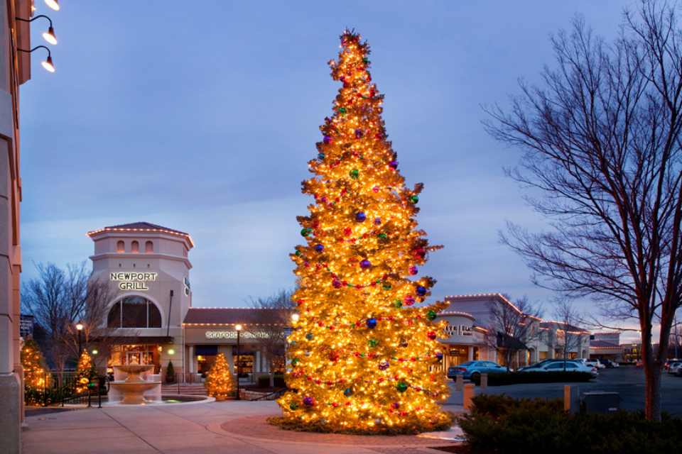 Holiday Stroll & Tree Lighting