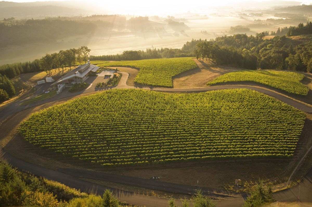 Newberg wineries deals