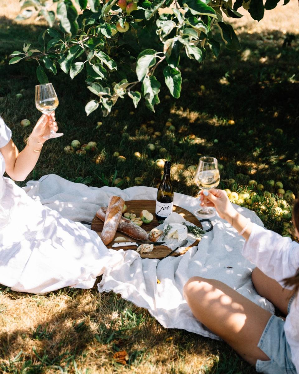 Spring Break Picnic Your Guide to a Perfect Spring Picnic