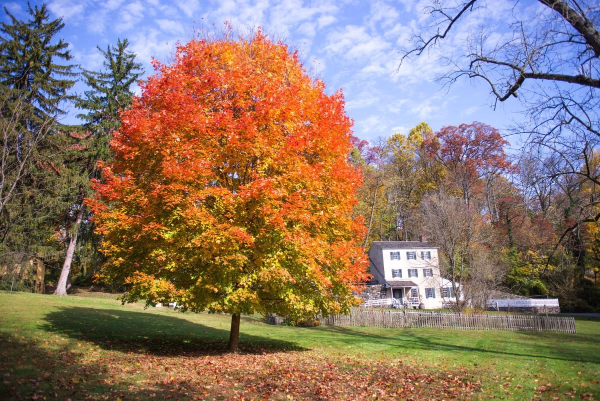 Autumn Events Wilmington DE Fall Event Calendar