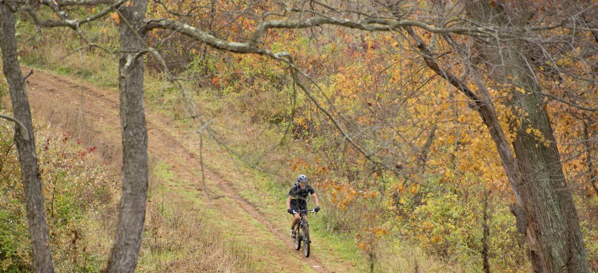 Bike the brandywine online