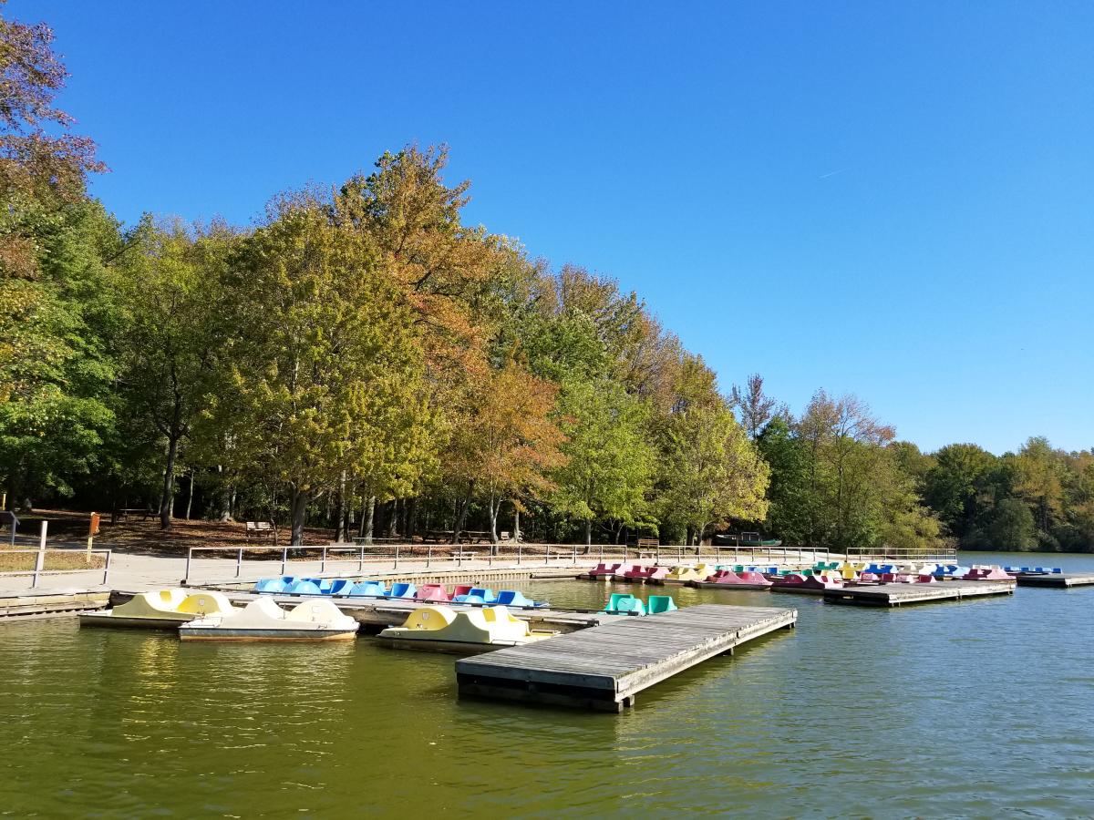 Delaware State Parks Celebrates 75 Years Of Nature History Outdoor fox-point-state-park-explore-delaware-verdant-traveler