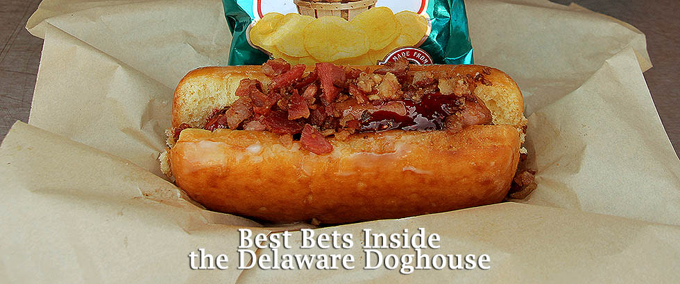 Eat Up New England: MOUTH-WATERING HOT DOGS AT ZIPPITY DO DOG