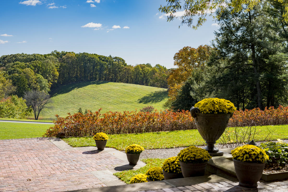 Enhance Your Zoom Meetings with Backgrounds from Wilmington & the ...
