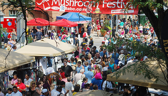 are dogs allowed at kennett mushroom festival