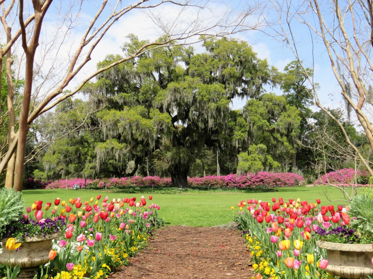 Seasonal Things To Do In Wilmington NC Museums Parks Tours seasonal-things-to-do-in-wilmington-nc-museums-parks-tours