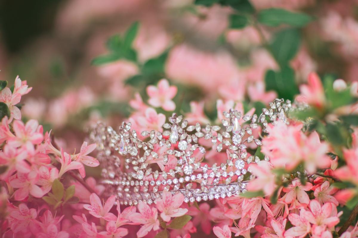 North Carolina Azalea Festival Wilmington News & Blog