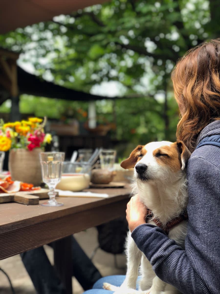 Dog friendly sales days out wirral
