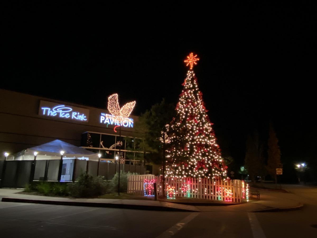 Christmas Trees and Holiday Lights in The Woodlands The Official