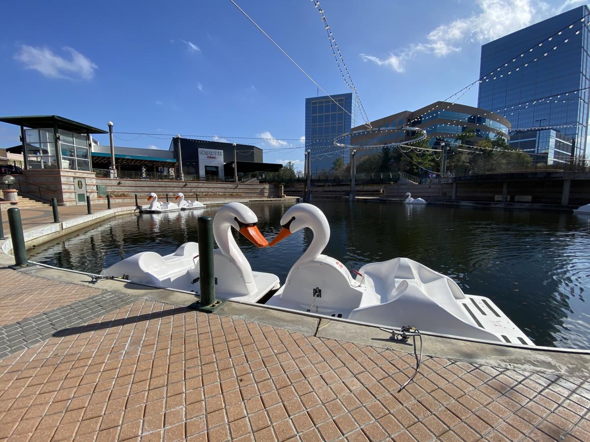 Swan Boat Rentals at The Woodlands Mall Water Recreation Rentals in The Woodlands, Texas