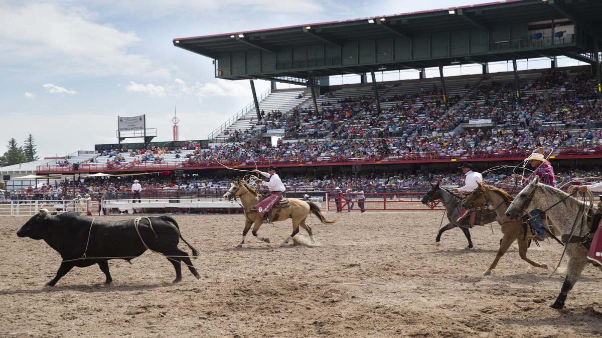Saddle Up: The Official Guide to Rodeo Events in the Cowboy State