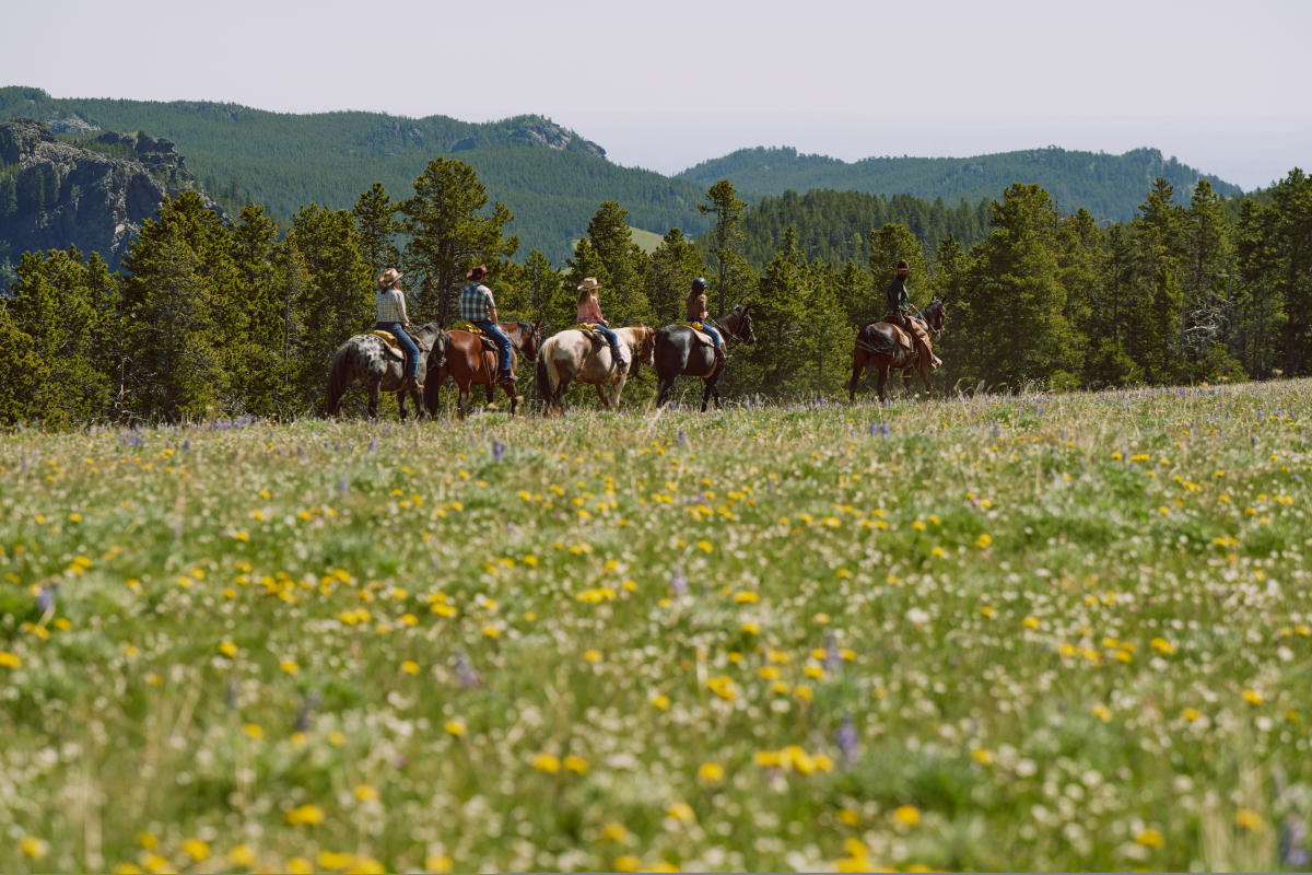 New Appointments and Leadership Updates to the Wyoming Tourism Board