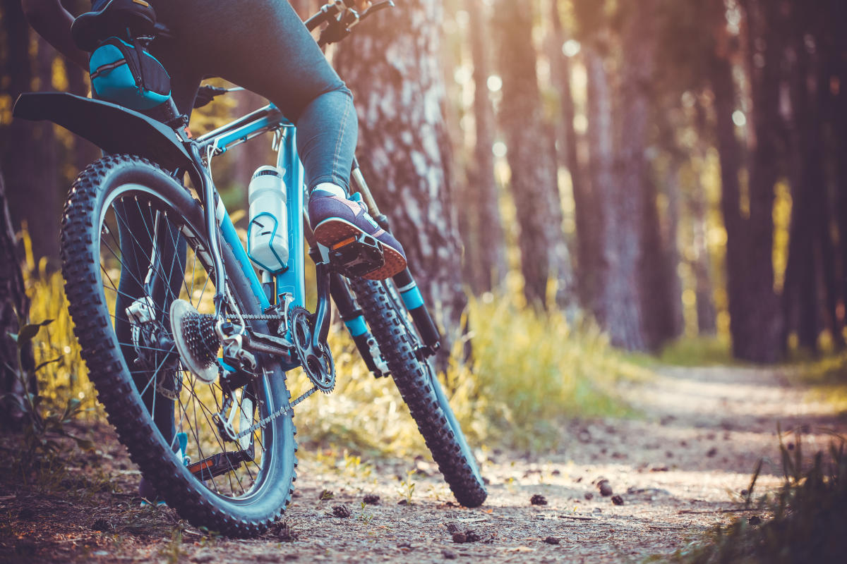 Codorus mountain sales bike trails