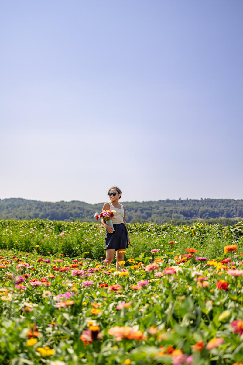 Spring in York County, PA | Things To Do | York in Bloom