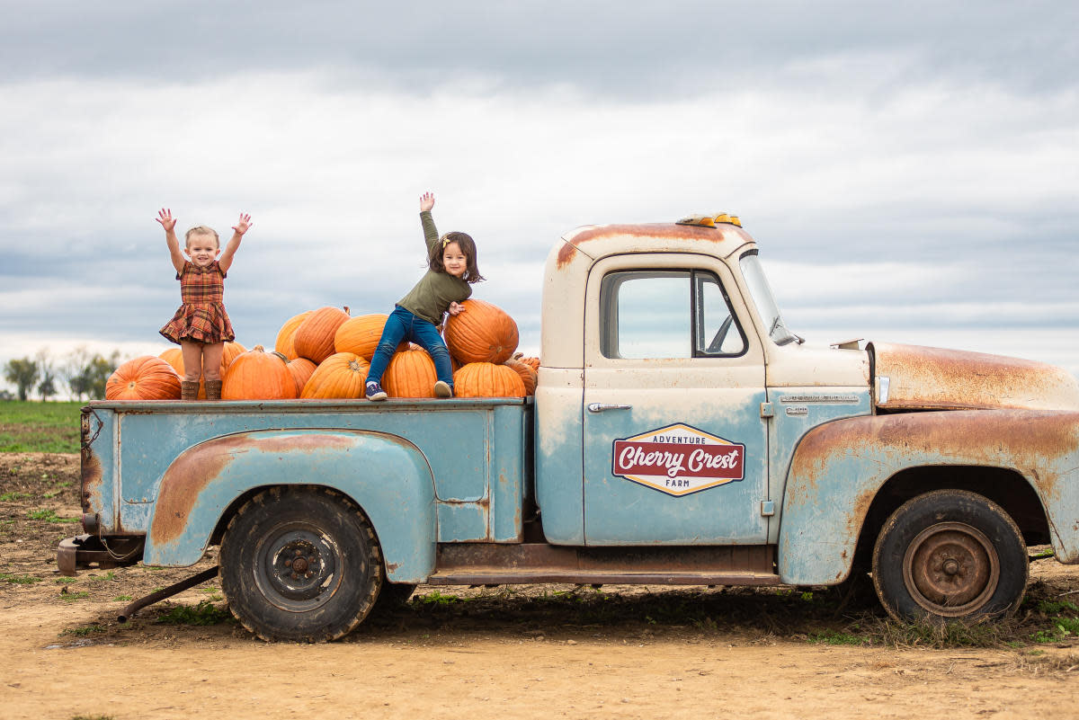 Things To Do This Weekend In York County