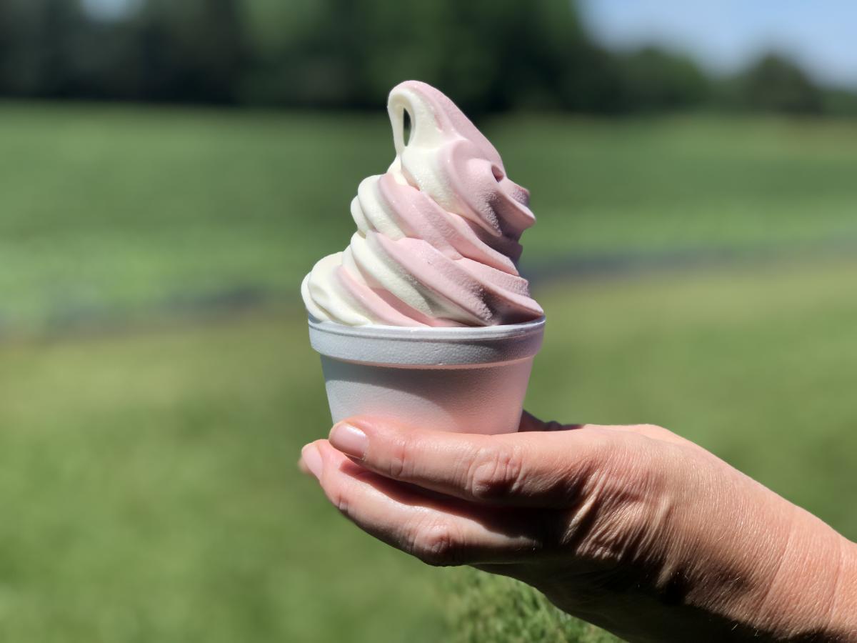 York County Ice Cream Spots You Have to Try