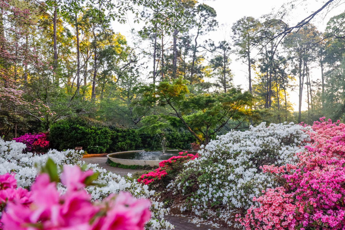 York County Spring Bucket List