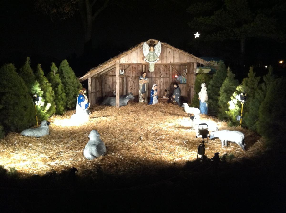 Lehnertz Avenue Christmas Display