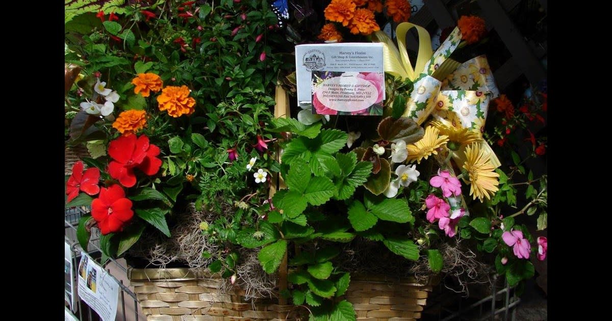 Harvey's Florist & Greenhouses, Inc.