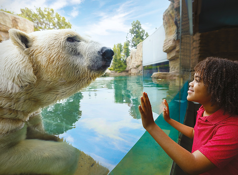Kids Free October at the San Diego Zoo Safari Park