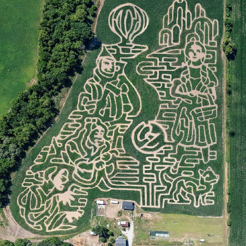 Coleman's Farm and Corn Maze