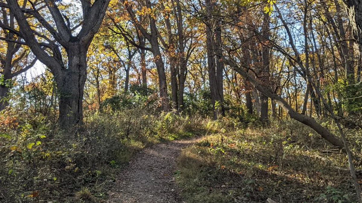 Marshall Nature Area