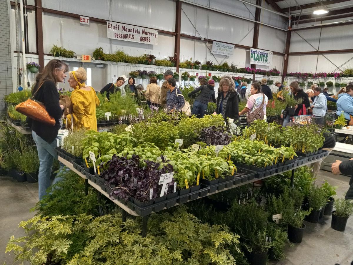 Asheville Herb Festival Asheville, NC's Official Travel Site