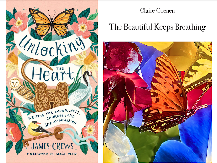 Poetry as Compassionate Practice A Reading & Conversation with James