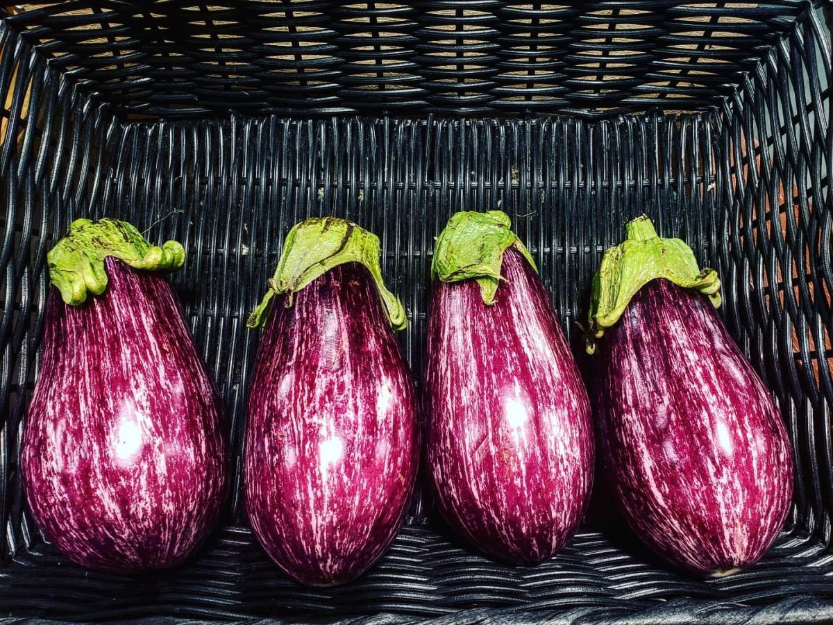 Good Earth Produce and Garden Center